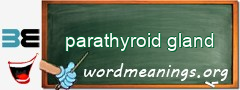 WordMeaning blackboard for parathyroid gland